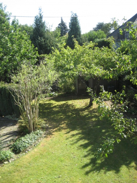 Gartenansicht 4 Einfamilienhaus Neunkirchen-Seelscheid / Breitscheid