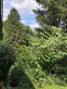Blick ins Gr�ne BONN HOLZLAR freist. Einfamilienhaus ca. 170 m� Wfl., 5-6 Zimmer, Vollkeller, Garage, ca. 1.200 GrSt