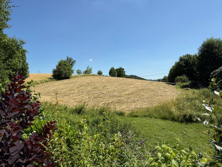 . Einfamilienhaus Hennef