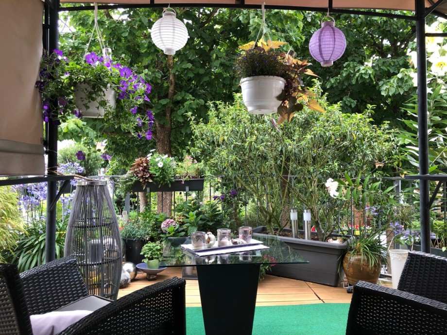 Terrasse im 1 . OG links Einfamilienhaus Hennef (Sieg)