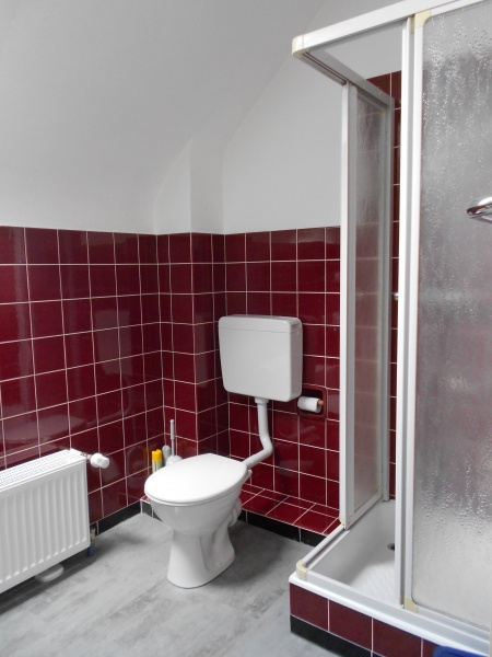 Tageslichtbadezimmer Dachgeschosswohnung Sankt Augustin