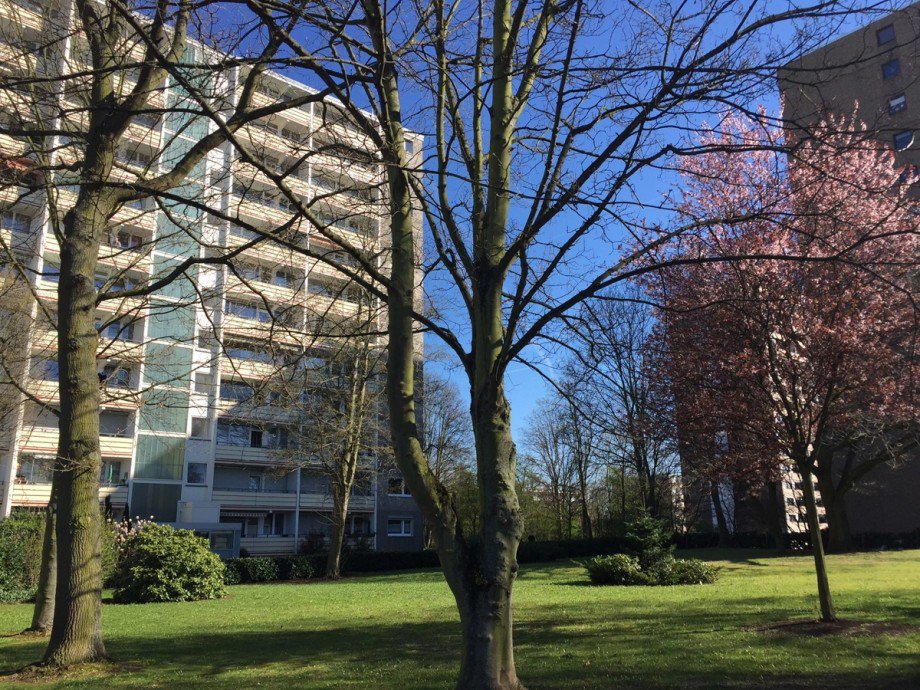 Umgebung Erdgeschosswohnung Sankt Augustin / Niederpleis