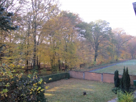 Ausblick Mehrfamilienhaus Lohmar