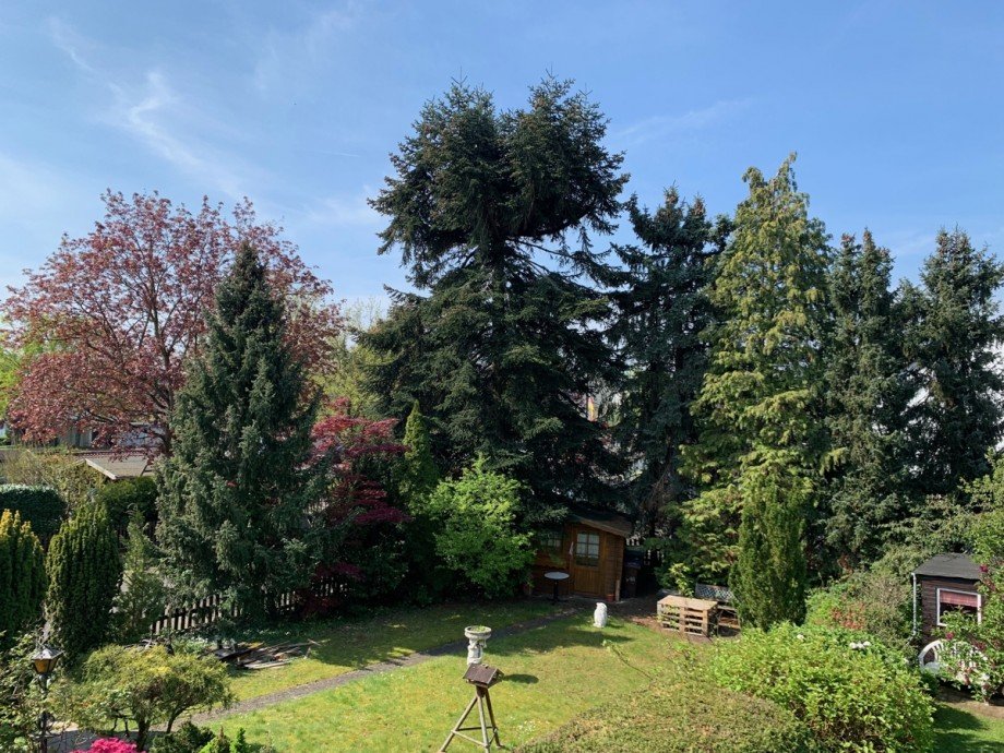 Blick ins Gr�ne Reihenhaus Sankt Augustin