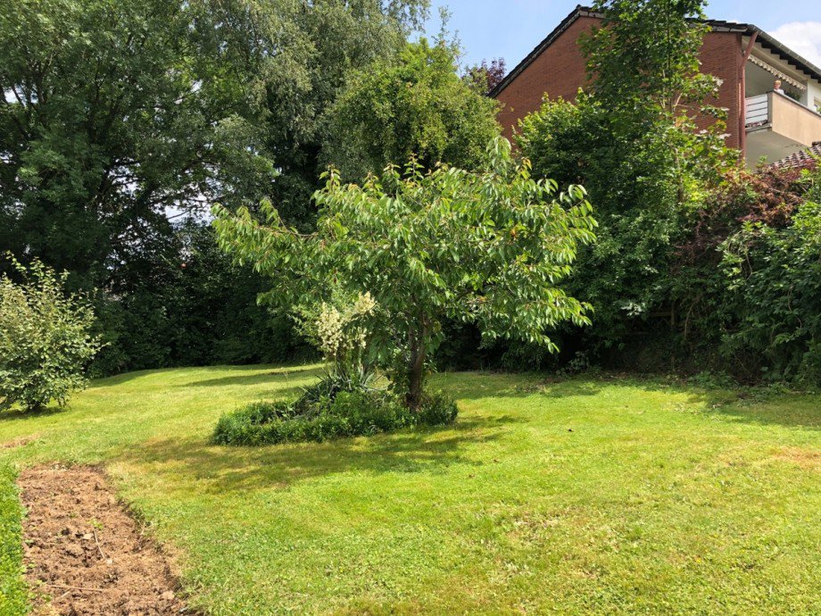 Gartenansicht Einfamilienhaus Eitorf