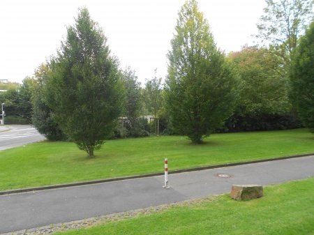 Blick vom Balkon Erdgeschosswohnung Sankt Augustin / Niederpleis