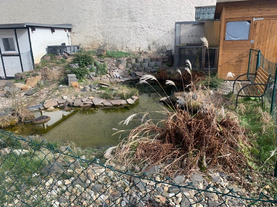 Teich Doppelhaush�lfte Sankt Augustin