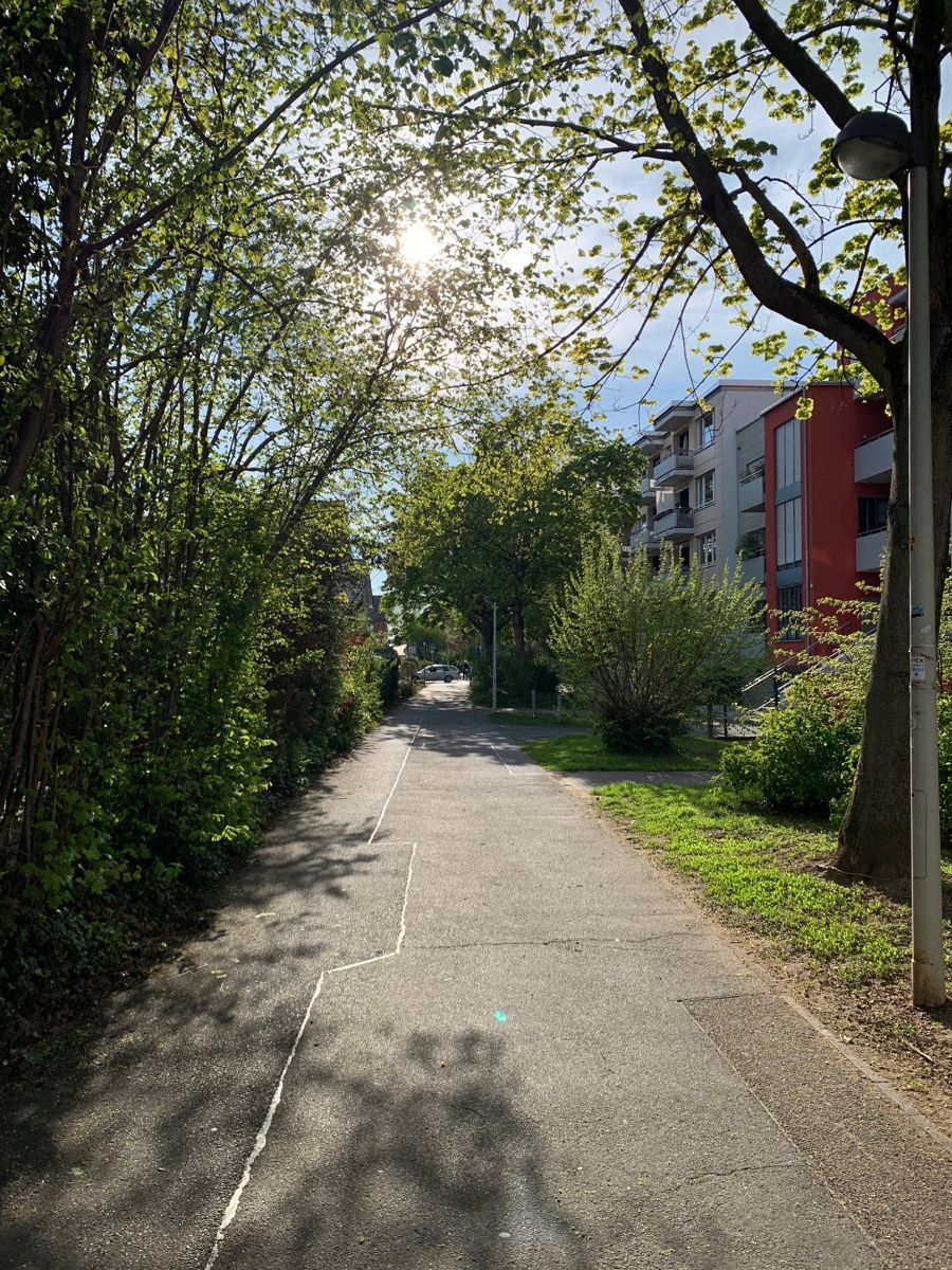 Weg zum Rhein Etagenwohnung Bonn Beuel