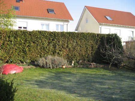 Garten Doppelhaush�lfte Sankt Augustin