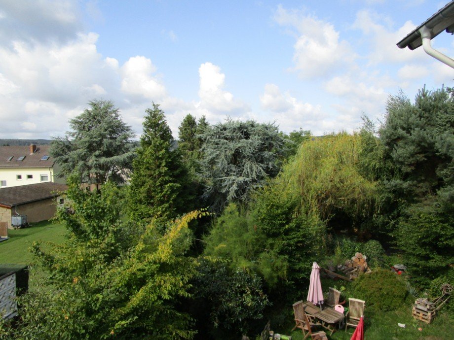 Blick ins Gr�ne Etagenwohnung Bad Honnef