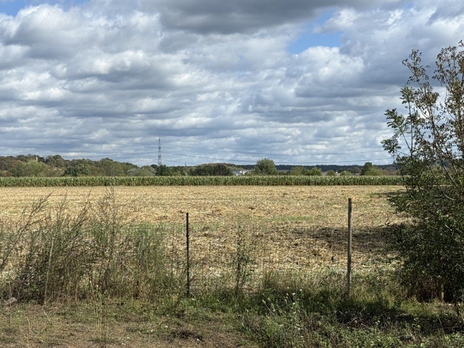 .Blick auf das Feld Einfamilienhaus Troisdorf
