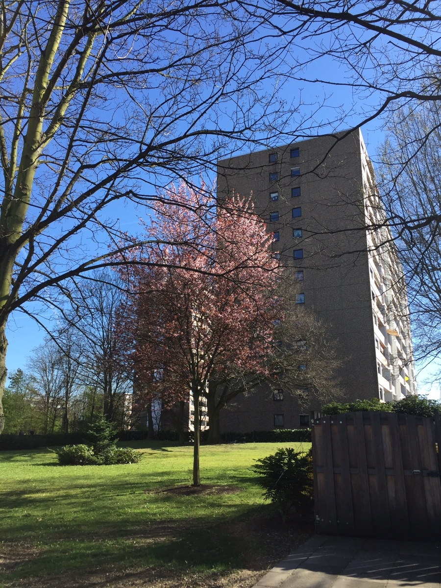 Wohnungebung Erdgeschosswohnung Sankt Augustin / Niederpleis