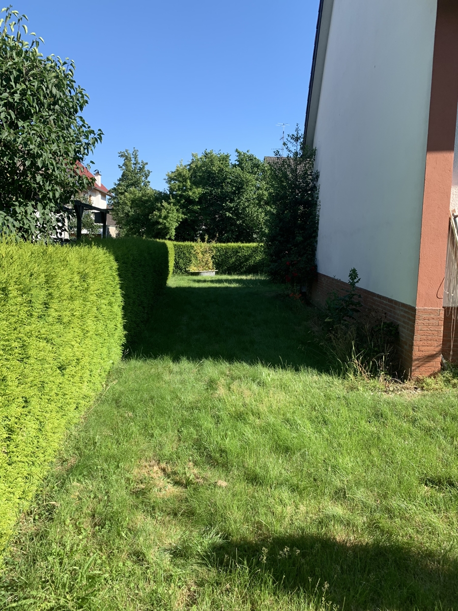 Garten Einfamilienhaus Rheinbach