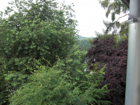 Ausblick 1 Erdgeschosswohnung Lohmar