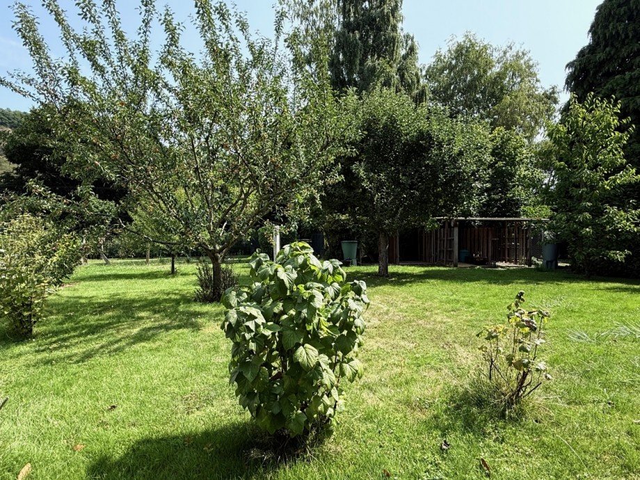 Blick in den Garten Einfamilienhaus Bonn