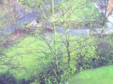 Balkonaussicht Etagenwohnung Sankt Augustin