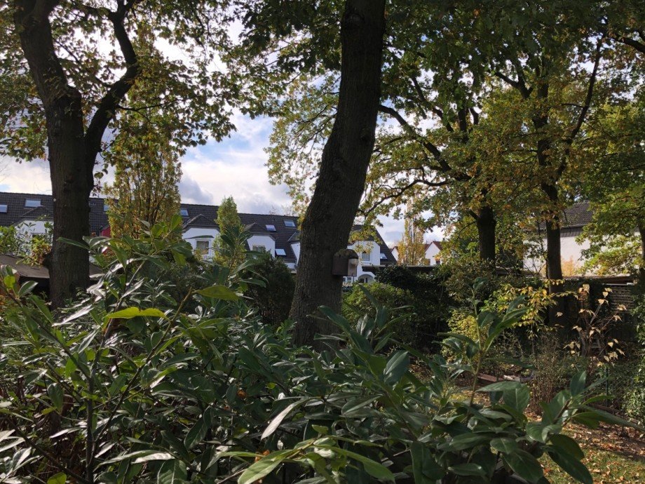 Gartenansicht Einfamilienhaus Sankt Augustin