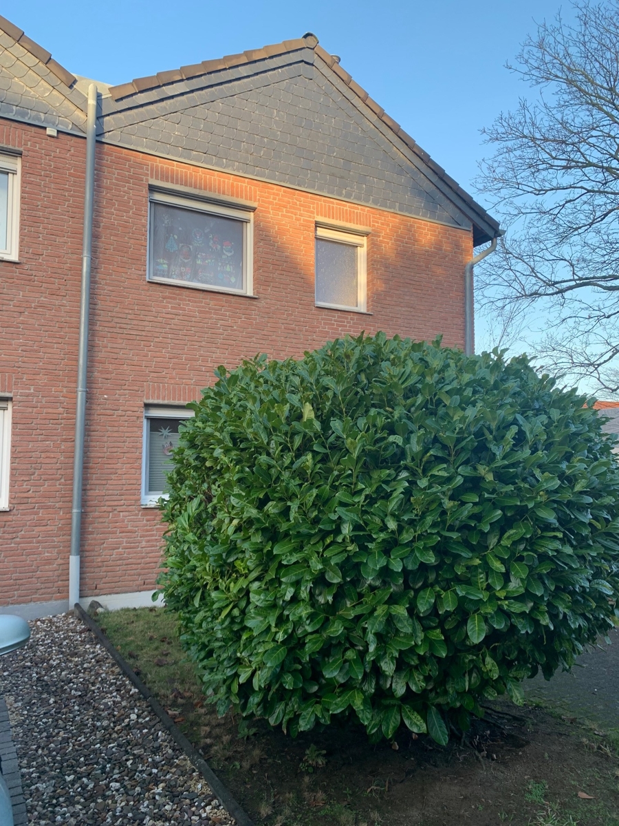 Hausansicht Reiheneckhaus Sankt Augustin