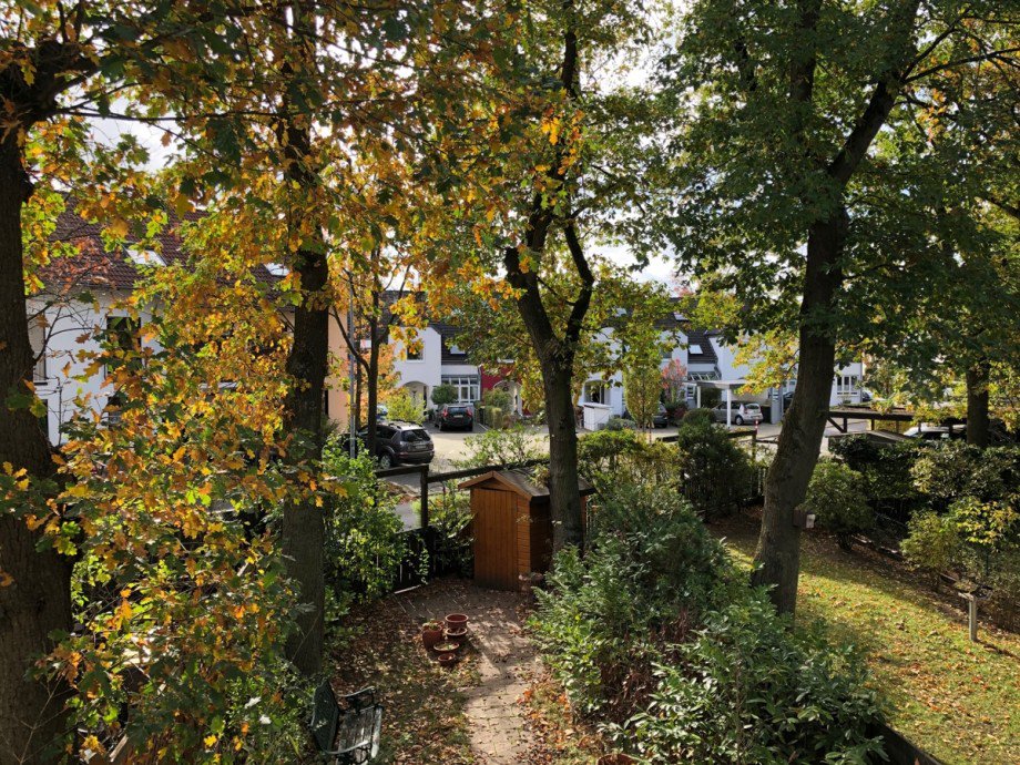Blick in den Garten Einfamilienhaus Sankt Augustin