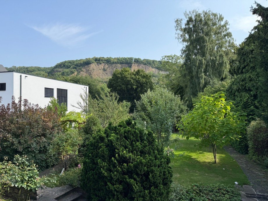 weitere Ansicht vom Grundst�ck Einfamilienhaus Bonn