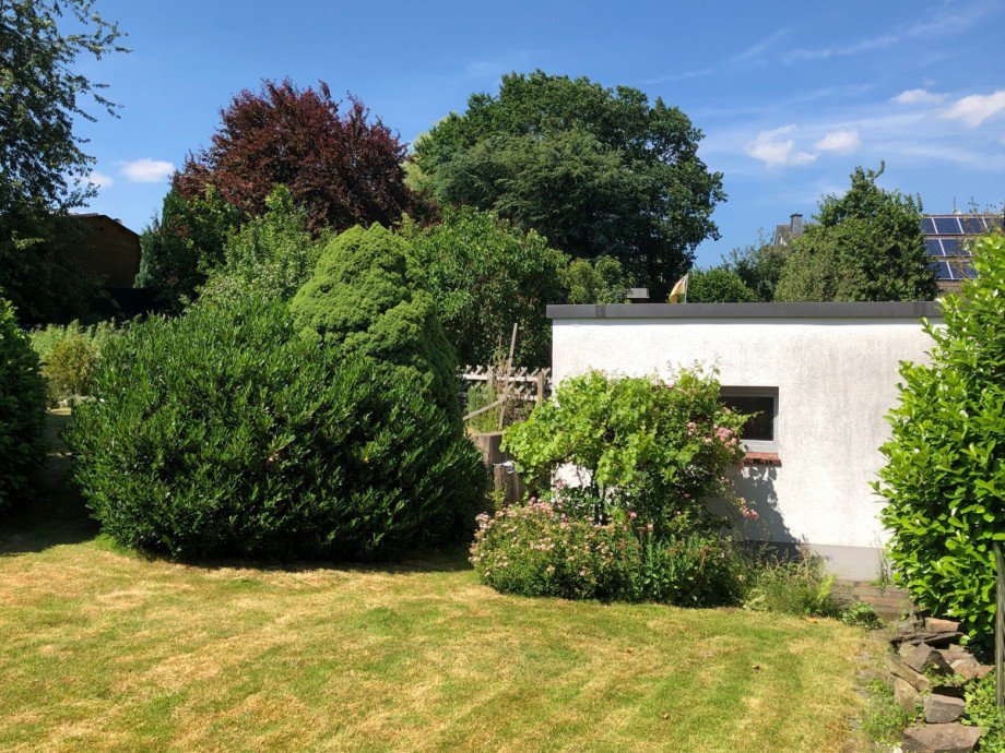 Gartenansicht Einfamilienhaus Much / Marienfeld