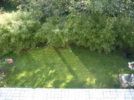 Gartenansicht 3 Haus Eitorf / M�hleip