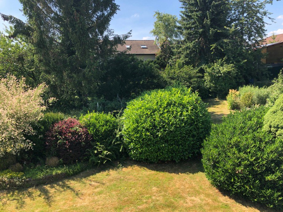 Gartenansicht Einfamilienhaus Much / Marienfeld