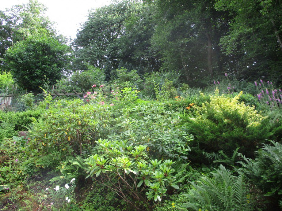 Blick ins Gr�ne Etagenwohnung Siegburg