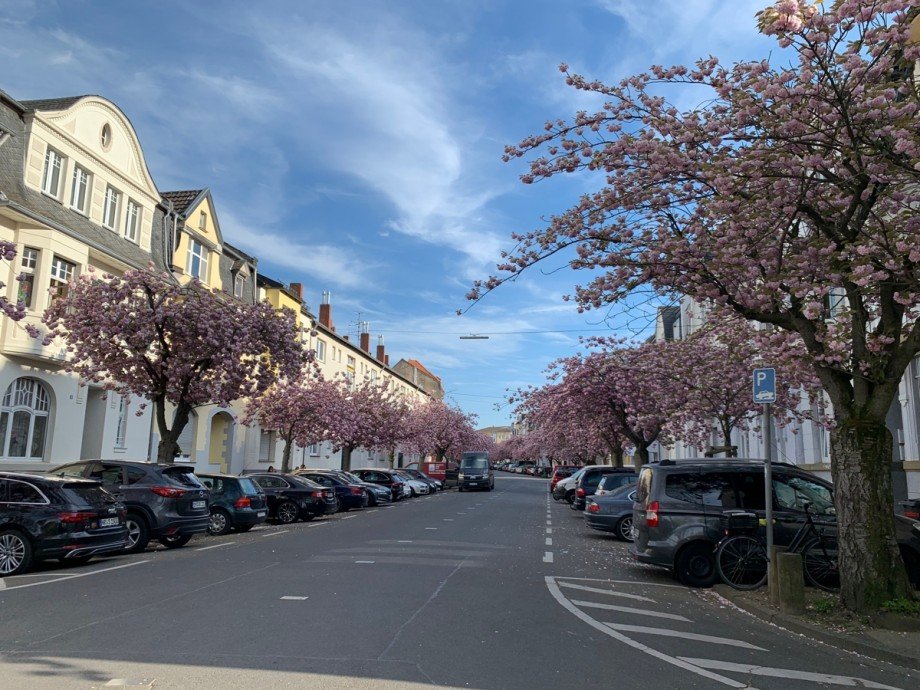 Wohnumgebung Etagenwohnung Bonn Beuel