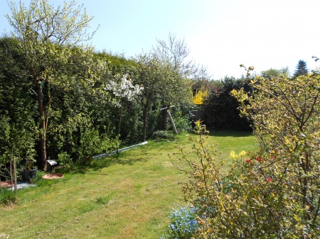 Garten Einfamilienhaus Sankt Augustin