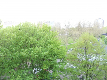 Ausssicht Etagenwohnung Sankt Augustin