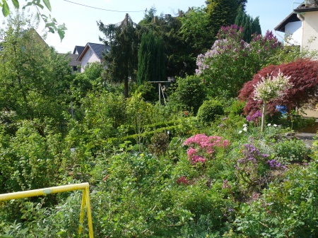 Blick in den Garten Erdgeschosswohnung Windeck
