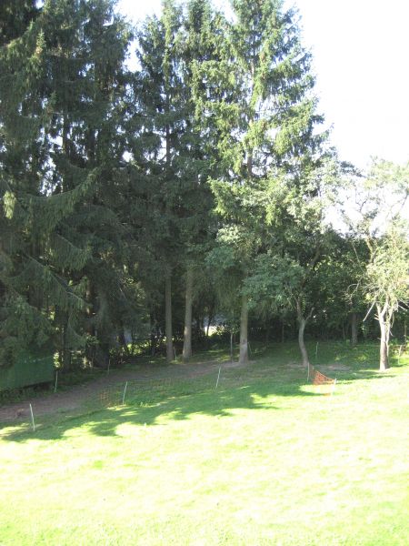 Aussicht von Balkon Einfamilienhaus Wolperath