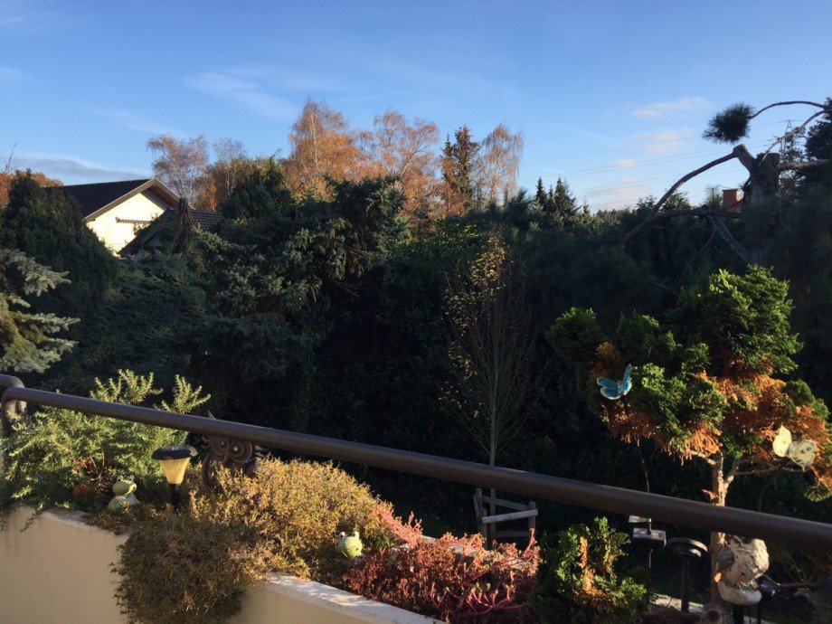 Blick vom Balkon Etagenwohnung Sankt Augustin