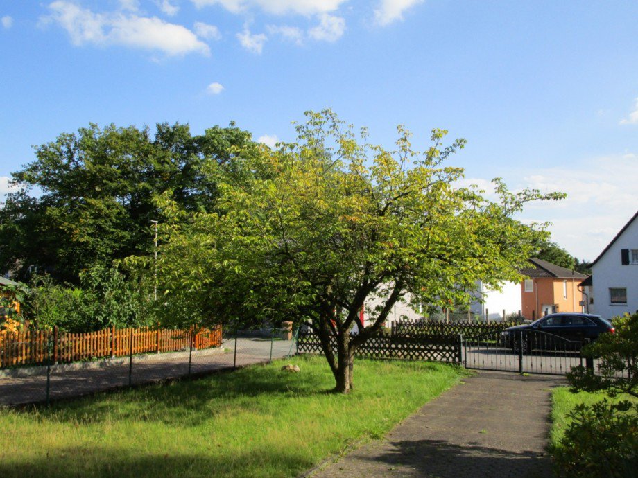 Grundst�ck Doppelhaush�lfte Siegburg