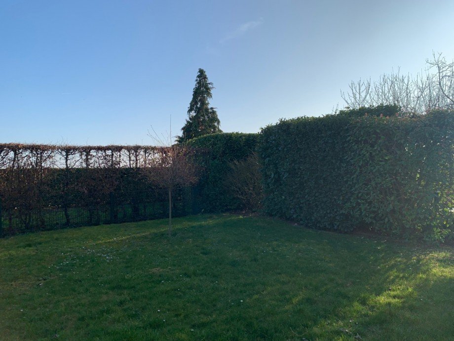 Gartenansicht Doppelhaush�lfte Niederkassel