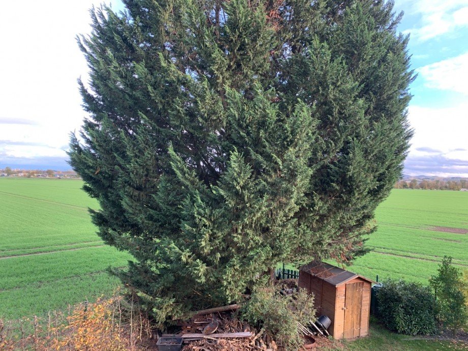 Blick ins Gr�ne Einfamilienhaus Sankt Augustin