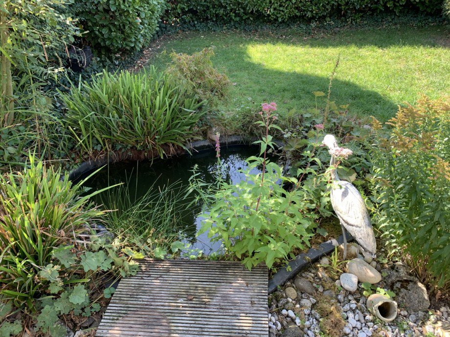 Garten mit Teich Doppelhaush�lfte Sankt Augustin