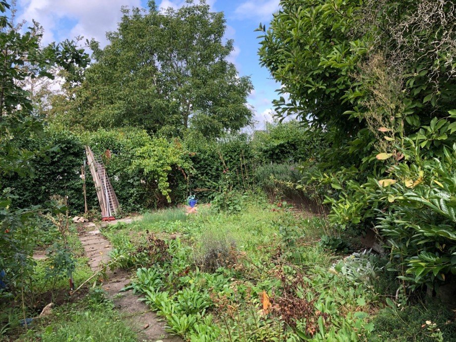 Blick in den Garten Etagenwohnung Bad Honnef