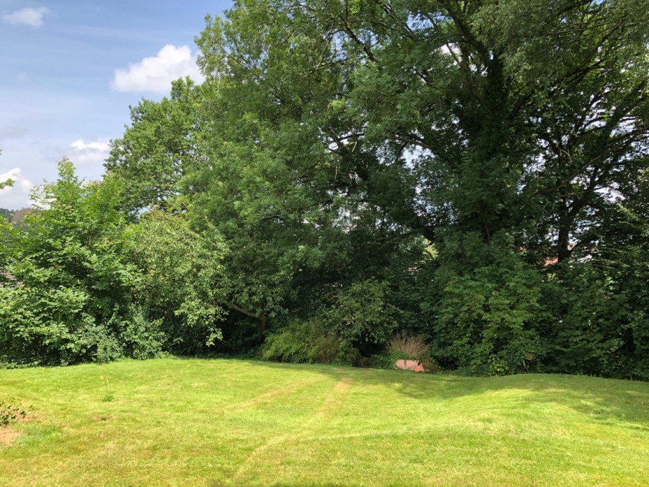 Garten Einfamilienhaus Eitorf