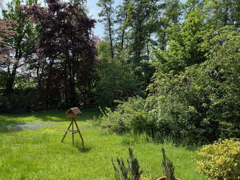 Blick in den Garten Zweifamilienhaus Sankt Augustin