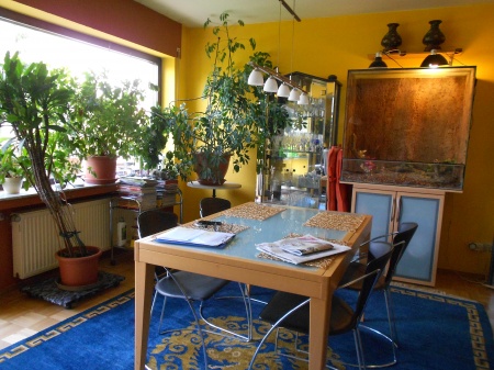 Wohn- / Esszimmer Etagenwohnung Bonn / P�tzchen