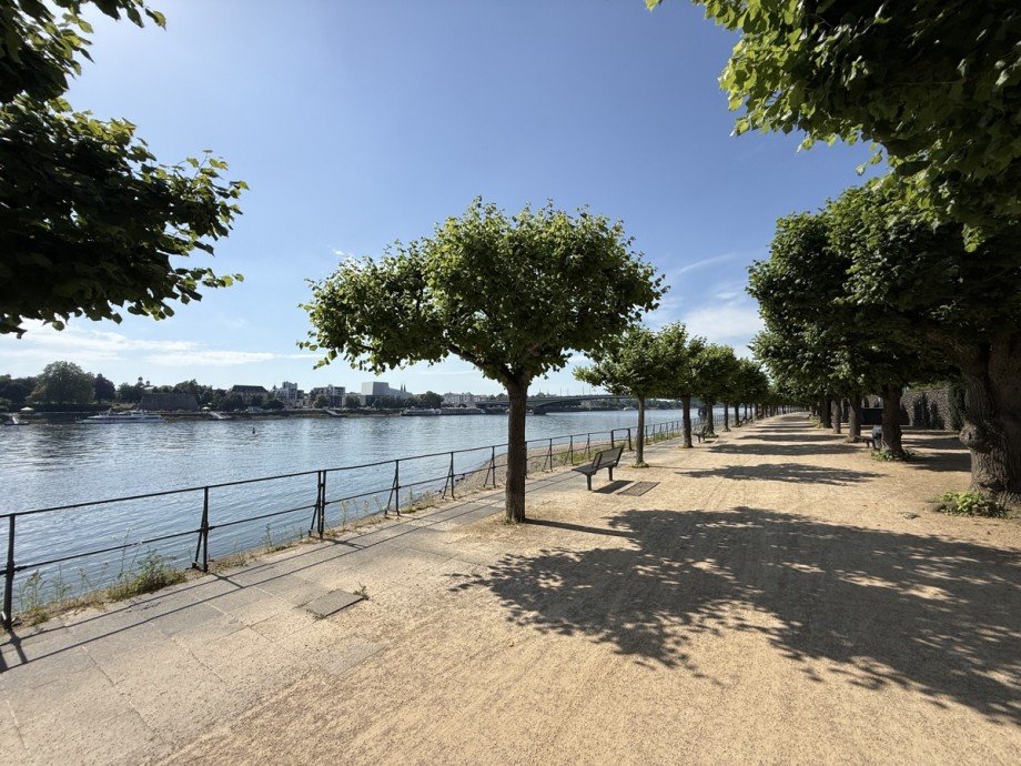 . Etagenwohnung Bonn