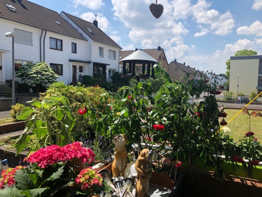 Blick vom Balkon Erdgeschosswohnung Sankt Augustin