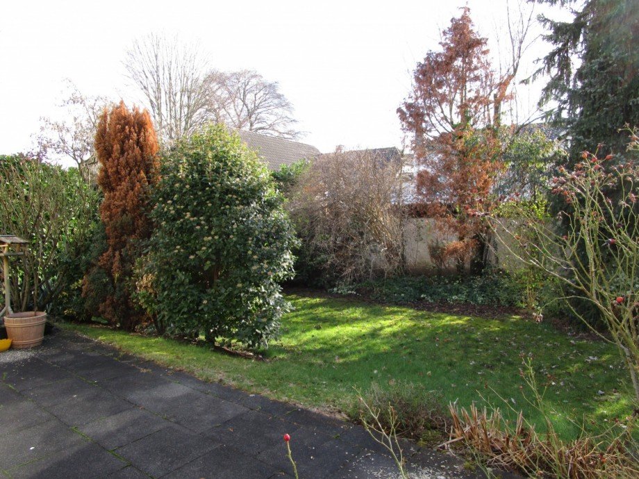 Ansicht Terrasse und Garte Einfamilienhaus Sankt Augustin