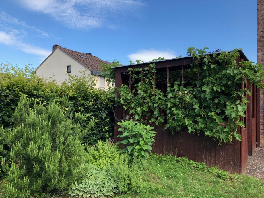 Ansicht Garten Reihenhaus Sankt Augustin
