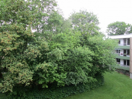 Garten Ansicht Etagenwohnung Sankt Augustin