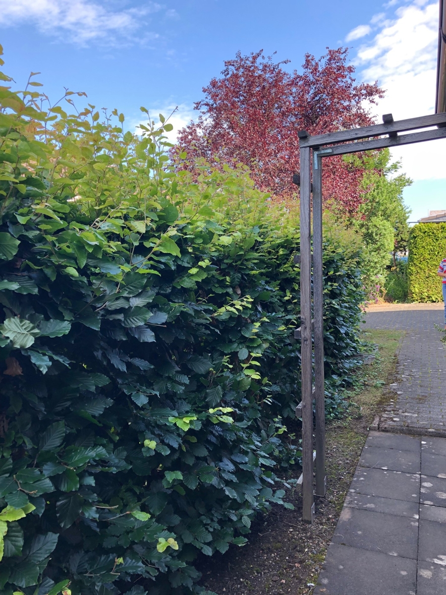 Seitenansicht Reihenhaus Sankt Augustin