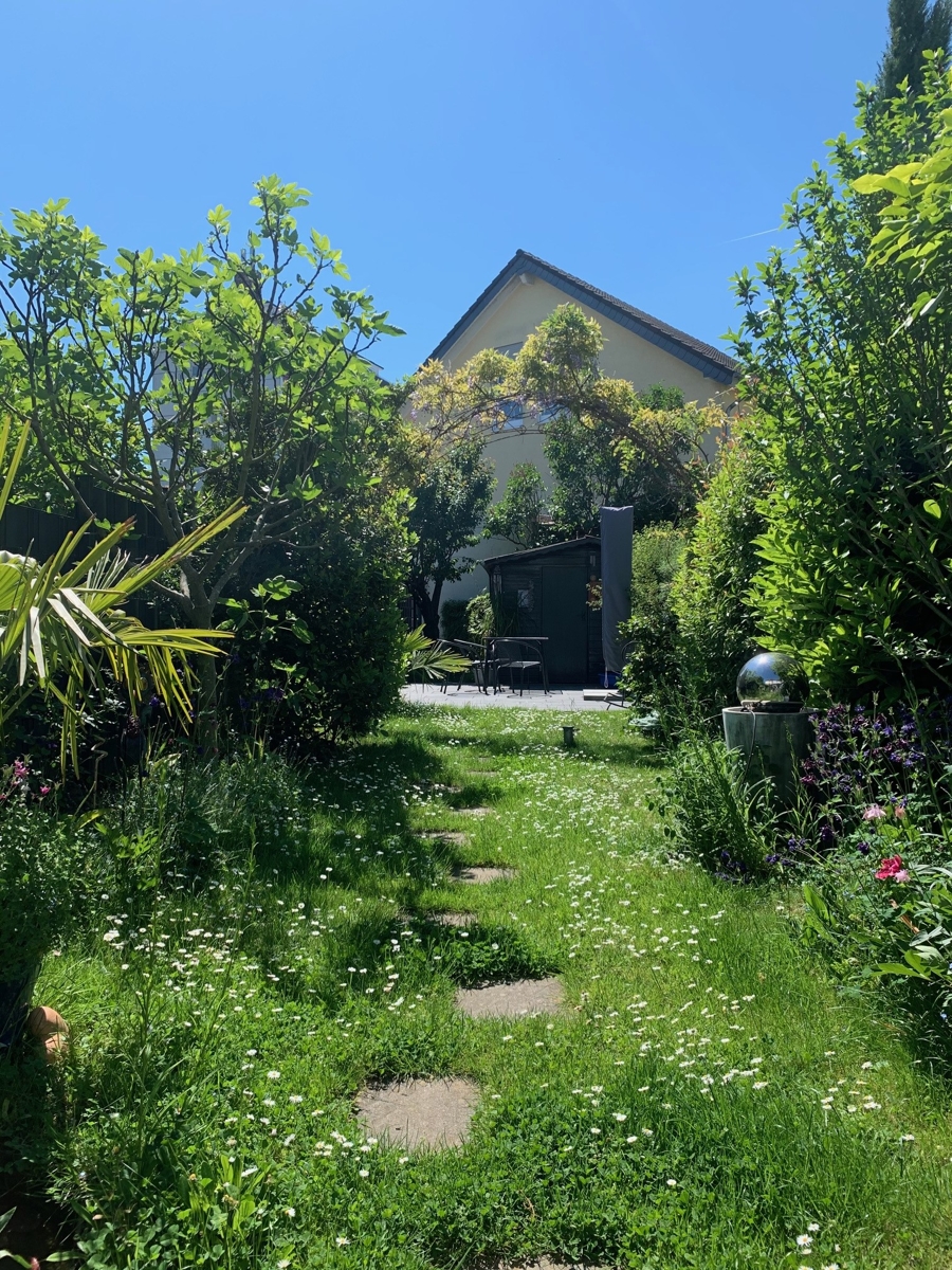 Blick in den Garten Reihenhaus Sankt Augustin