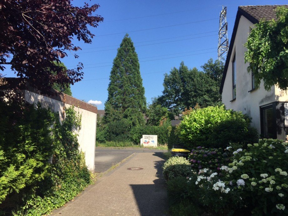 Weg zum Haus Reihenhaus Sankt Augustin